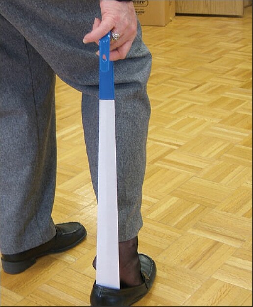 Extra Long Shoehorn