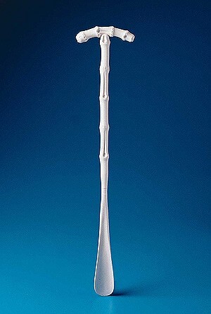 long shoehorn with T handle