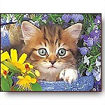 Garden Helper Kitten, 36-Piece Puzzle
