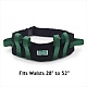 Transfer Belt with Quick Release Buckle