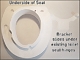 elevated toilet seat with a lower rise