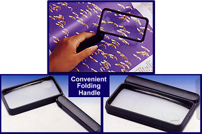 rectangular reader folding magnifier
