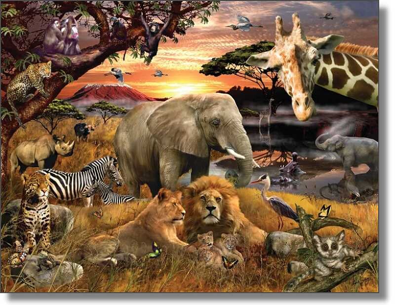 Wild Savanna